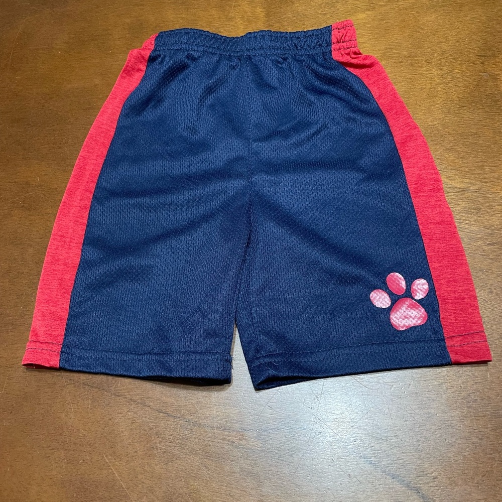Paw Patrol Boys Size 4t